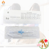 Canule IV animale à usage vétérinaire/cathéter IV/tube IV pour animaux chat chien