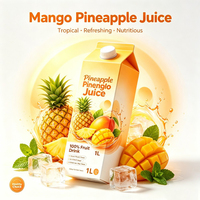 Tropisch Ananas Mango Mengsel Sap Mild Zoet Pittig Verfrissend Citrus Fruitige Noten Kant-en-klaar Drankje
