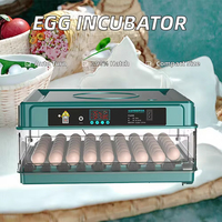 Nueva Incubadora de Huevos MINI Totalmente Automática de 220V/110V/12V, Incubadora Adecuada para Loros, Pollos, Patos, Gansos