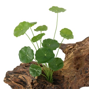 Chất Lượng Cao Giả Lụa Nhà Máy Lá Sen Nhân Tạo Bonsai Tán Lá Cho Trang Trí Sân Vườn - Product Image 5