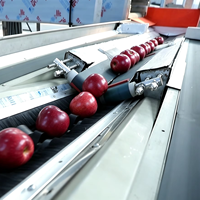 Fruitwas- en sorteerlijn met bubbelspoelmachine, borstelrol, luchtdroger, wasmachine en sorteermachine voor sinaasappels, appels en avocado's.