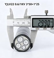 Câble d'alimentation blindé en acier avec gaine en PVC isolé en XLPE, aluminium, ZA YJLV22 0.6/1KV 3*50+1*25
