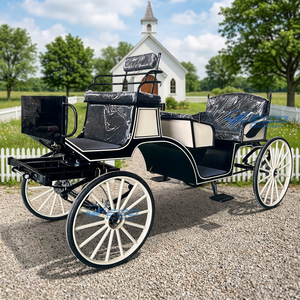 Charrette classique rétro à chevaux non motorisée à quatre roues, véhicule de tourisme avec carrosserie bicolore pour les mariages en station balnéaire - Product Image 1