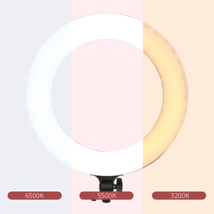 Lampe à maquillage TikTok de 10 pouces avec trépied, anneau lumineux circulaire pour selfie TikTok, anneau lumineux LED avec trépied - Product Image 2