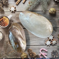 Ensemble de service personnalisé pour caviar naturel Serveur de caviar Assiettes en nacre blanche