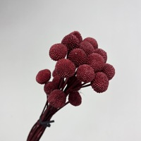 Bunga Kering Warna Merah Anggur Amaranthus Gypsophila Anna Hydrangea Buket Besar untuk Dekorasi Pusat Meja Acara  Grosir