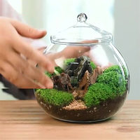 Terrarium en verre transparent DIY pour plantes d'intérieur, décoration de jardin, pot de culture hydroponique de plantes aquatiques sculpté à la main
