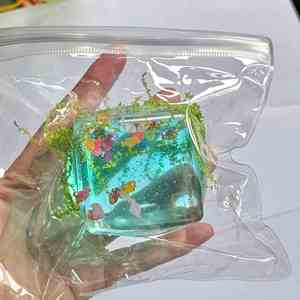 Clear Ocean Fish Maltose Cube Ball Series TPR Squeeze Toys Cool Ambiance Stress Relief Decompression Gift for Kids and Adults - Product Image 4