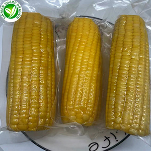 Nhà Máy Bán Hàng Trực Tiếp Gmo Tươi Chân Không Đóng Gói Ngô Ngọt Đồ Ăn Nhẹ Ăn Ngay Lập Tức Mở Túi Ăn Ngô Bán Buôn - Product Image 2