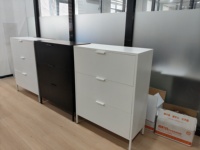 Meuble à chaussures moderne en métal, armoire à chaussures en acier peu encombrante, casier mural de rangement pour chaussures, étagère de rangement pour chaussures pour le salon