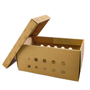 Boîte en carton kraft vintage à double couvercle et base, à motif floral, avec plusieurs trous de ventilation ronds, emballage ondulé pour jeunes plants vivants en pot - Product Image 4