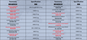 סין פרוביוטיקה ספק Wholesales בתפזורת מזון כיתה חומצה לקטית חיידקים לקטובצילוס bulgaricus עבור לשפר חיסונית מערכת - Product Image 4
