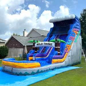 Toboggan Gonflable sur Mesure <span class=keywords><strong>avec</strong></span> <span class=keywords><strong>Piscine</strong></span> Château Gonflable Vague Bleue Toboggan Aquatique Commercial <span class=keywords><strong>avec</strong></span> <span class=keywords><strong>Piscine</strong></span> pour Fête d'Enfants - Product Image 3