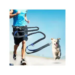 Hot Selling Hands Free Reflective Explosion-proof 2 Handles Bungee Running Walking Dog Leash With Adjustable Waist Belt