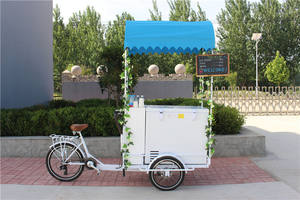 Tricycle électrique avec assistance au pédale, routeur à glace, 10 pouces, avec chariot de distribution pour aliments, vélo électrique - Product Image 6