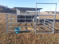 Box pour chevaux modulaire portable à montage rapide, panneaux latéraux en HDPE, acier galvanisé à chaud, pour ranch et club équestre