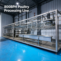 Ligne complète de traitement de volailles pour usine avicole, machine d'abattage Plug and Play 800BPH avec échaudeuse, plumeuse et éviscérateur inclus