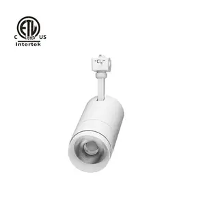 Daytonled Family Series ETL CETL CRI90 CRI97 7W 15W 20W 30W 38W Surface Mount Recessed Commercial Architectural Led Track Light