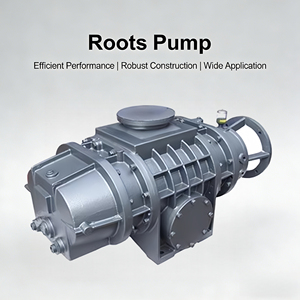 Pompe à vide Roots à refroidissement par eau et air, tension personnalisée pour le traitement chimique, pharmaceutique et alimentaire - Product Image 1