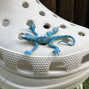 Décoration de chaussures en caoutchouc véritable en forme de fleur 3D avec boucle à motif Tigre, Zèbre, Dumbo, <span class=keywords><strong>Dinosaure</strong></span>, accessoires - Product Image 6