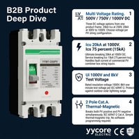 Disjoncteur à boîtier moulé solaire photovoltaïque YYM1 250PV 250A DC MCCB 2 pôles 500V 750V 1000V 20kA CE