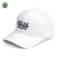 Gorra de Béisbol de Alta Calidad 100% Algodón, Estilo Deportivo Urbano, Ajustable, con Logotipo Personalizado, Bordado a Mano