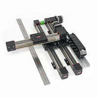 QRXQ RXP45-XY-110 Sistema Robótico de Actuador Lineal de Tornillo de Bolas XYZ Motorizado para Trabajo Pesado con Riel CNC, Mesa Deslizante con Guía