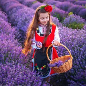 HL Mejor Búlgaro Lavandula Angustifolia <span class=keywords><strong>Oil</strong></span> Bulk Supplier,1Kg Pure Organic Lavender Essential <span class=keywords><strong>Oil</strong></span> para Skin Hair <span class=keywords><strong>Sleep</strong></span> Difusor - Product Image 2
