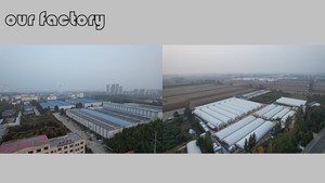 Bán Buôn Protein Cao Động Vật Thức Ăn Cho Mèo Và Cá Chăn Nuôi Trang Trại 100% Tự Nhiên Khô Vàng Mealworms - Product Image 5