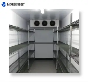 Fabricante de projeto de armazenamento frio andar na sala fria do congelador