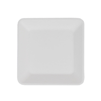 Assiette carrée en bagasse Vaisselle jetable en bagasse écologique pour restaurant pour dessert Steak et plat de riz