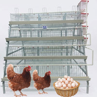 Cage à poules pondeuses de haute qualité pour 10 000 poulets, conception de ferme avicole, poulailler, élevage en batterie, cage de type A pour poules pondeuses à vendre