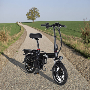Vélo électrique pliable en aluminium de 14 pouces, moteur sans balais à moyeu arrière, 250 W, 40 km/h, batterie 48 V 10 Ah, modèle Travel Hb1, directement de l'usine - Product Image 4