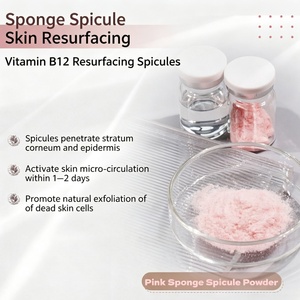 Esponja Rosa Spongilla Bio Micro Needle Powder con Vitamina B12, Exfoliante de Algas para Renovación de la Piel, Terapia de Exfoliación con Espículas de Algas - Product Image 5