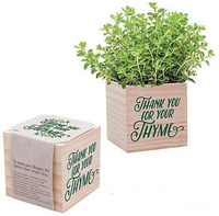 Cadeau d'appréciation de cube de plante et jardinière en bois-accessoire de bureau de remerciement de l'enseignant de l'employé