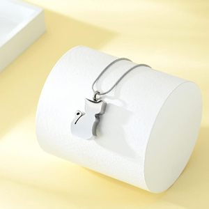 Pet için kedi kremasyon takı Urn kolye, cenaze külleri Urn Urn Urn kolye kolye anıt mücevherat - Product Image 4