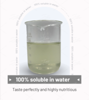 Kiwi Fruitpoeder Spraydroging CGMP Gecertificeerd Snelle Verzending voor Vaste Dranken & Bakformules