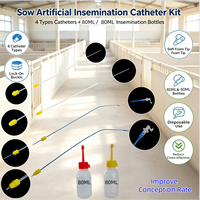 Kit de Cathéters d'Insémination Artificielle pour Truies, Cathéters à Embout en Mousse Jetables avec Bouteilles d'Insémination de 80 ml pour Élevage Porcin