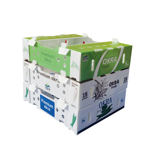Caja corrugada <span class=keywords><strong>de</strong></span> PP Caja personalizada para embalaje <span class=keywords><strong>de</strong></span> okra <span class=keywords><strong>de</strong></span> 4KG 5KG 7KG - Product Image 3