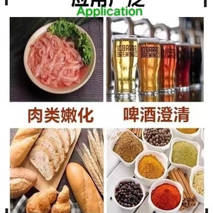 Papain de qualité alimentaire YD-PPE pour attendrir la viande et clarifier la bière, 100 000 U - Product Image 4