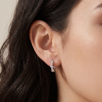 Boucles d'oreilles pendantes HOVANCI en acier inoxydable plaqué or corail, forme C, zircon, nouveau design