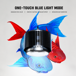 Projecteur LED pour aquarium Mayin 120W à spectre complet pour poissons Jiluo, lampe d'aquarium pour la croissance des algues et l'amélioration des couleurs - Product Image 2