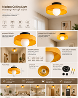 Plafonnier LED circulaire nordique en verre ambré dépoli, économie d'énergie, protection des yeux, pour chambre et bureau, 10 pouces, écoénergétique