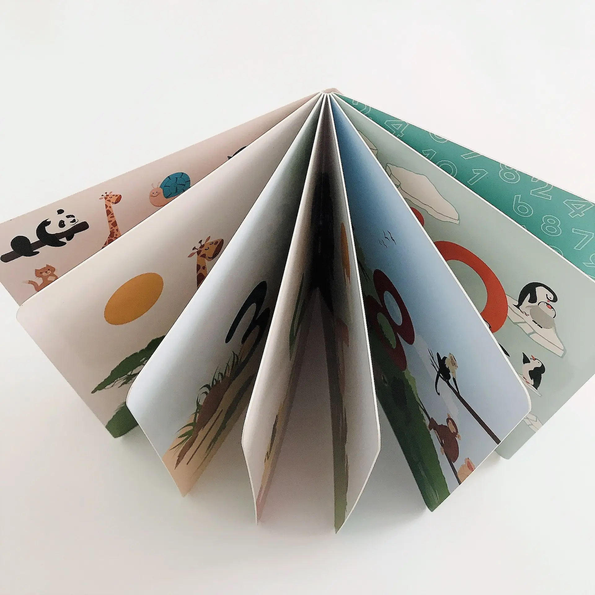 맞춤형 어린이 보드 책 인쇄 두꺼운 판지 책 유치원 교육