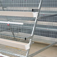 Cage à poules pondeuses de type A Coop Coopegg pour équipement d'élevage en batterie, cages galvanisées pour volailles