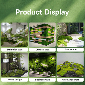 <span class=keywords><strong>Precio</strong></span> de fábrica, venta al por mayor, panel de planta de césped <span class=keywords><strong>artificial</strong></span>, arte de pared de musgo <span class=keywords><strong>Artificial</strong></span> para Decoración - Product Image 4