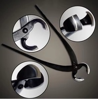 Ensemble complet d'outils de jardinage pour bonsaï avec coupe-branches à bouton, coupe-branches concaves, coupe-fils et ciseaux à bonsaï, kit 5 pièces avec étui de rangement