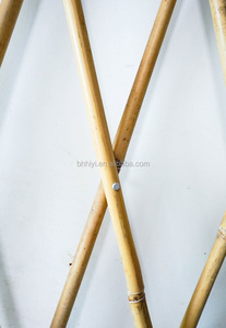 Dễ Dàng Cài Đặt Di Động Tre Hàng Rào <span class=keywords><strong>Trellis</strong></span> Tự Động Mở Rộng Cảnh Quan Vườn Phân Vùng Trang Trí Với Nhà Máy Hỗ Trợ - Product Image 6