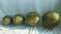 Offre Spéciale décoration intérieure et extérieure cactus artificiel plantes tropicales succulentes plantes en pot