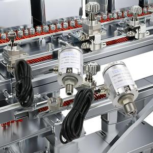 เซ็นเซอร์วัดการสั่นสะเทือนแบบป้องกันการระเบิด 4-20mA ในตัว 0-20 มม./วินาที IP65 ATEX มอเตอร์ พัดลม ปั๊ม - Product Image 3